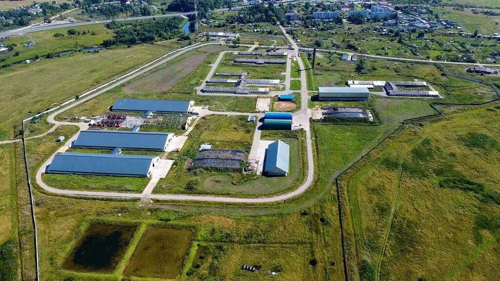 молочно-товарную ферму в Новгороде и Новгородской области