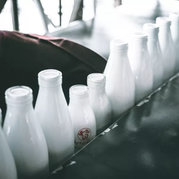 Горячая линия по вопросам качества питания на молочно-раздаточных пунктах пройдет 16 декабря